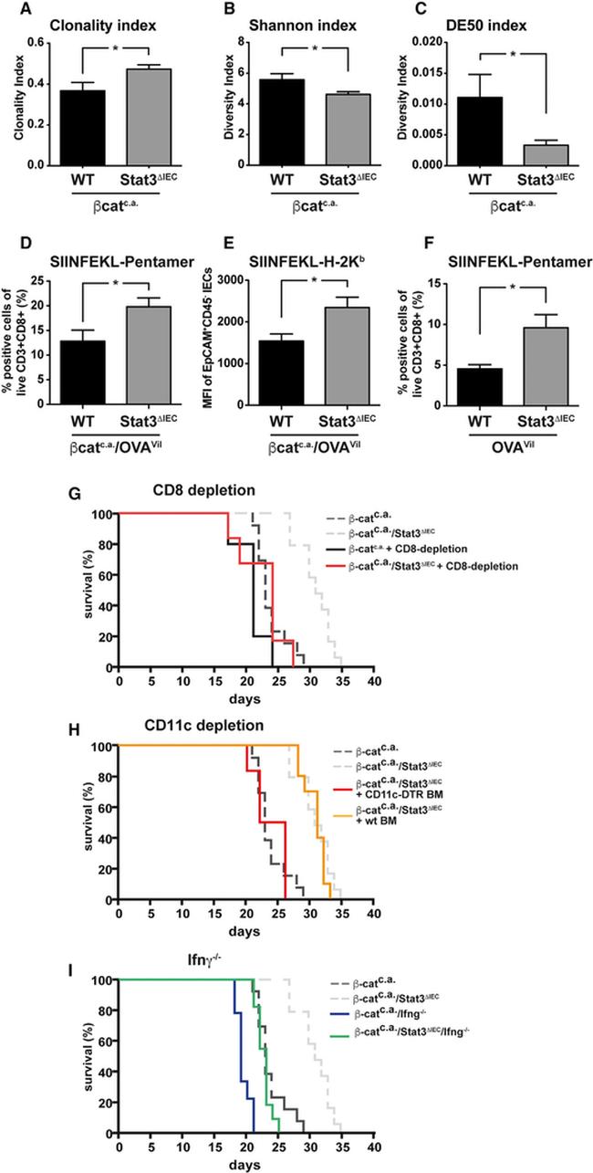 CD3 Antibody in Flow Cytometry (Flow)