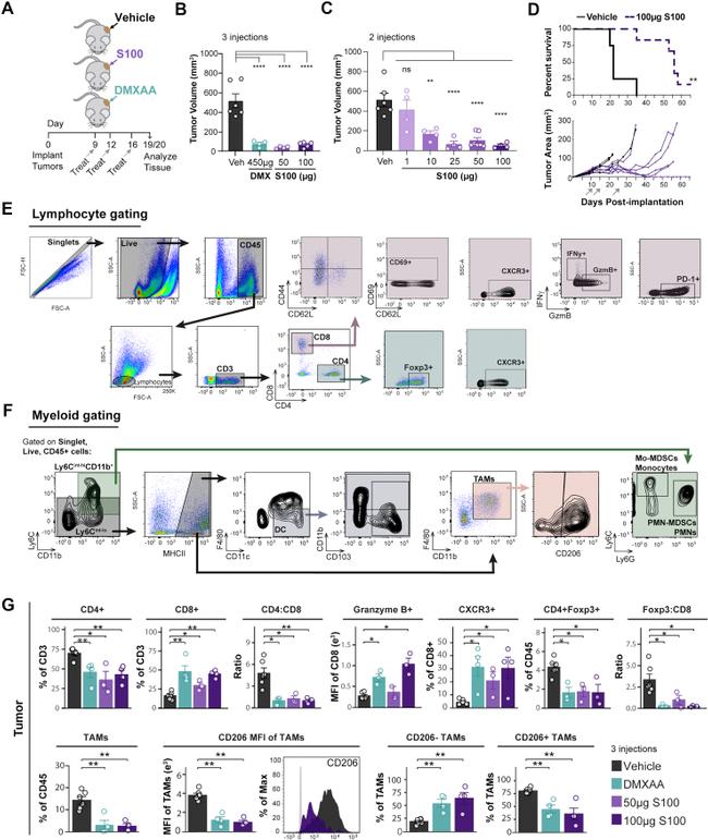 CD3 Antibody in Flow Cytometry (Flow)