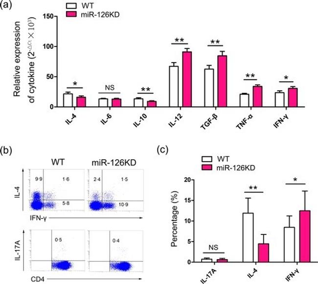 IFN gamma Antibody in Flow Cytometry (Flow)