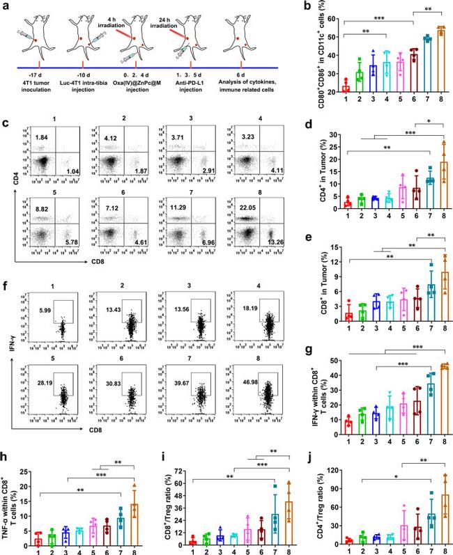 IFN gamma Antibody in Flow Cytometry (Flow)