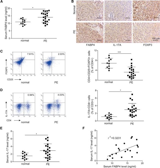 FOXP3 Antibody in Flow Cytometry (Flow)