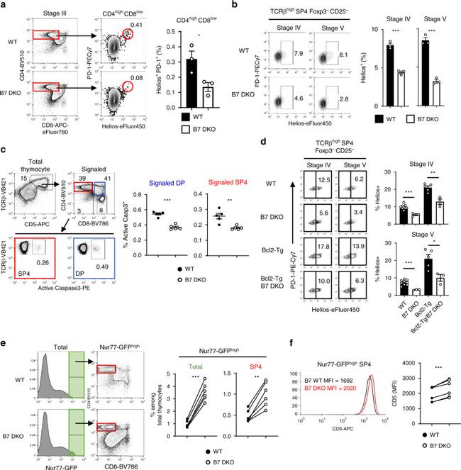 CD25 Antibody in Flow Cytometry (Flow)