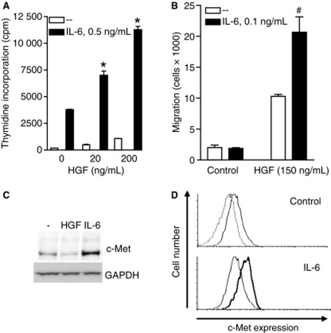 c-Met Antibody in Flow Cytometry (Flow)