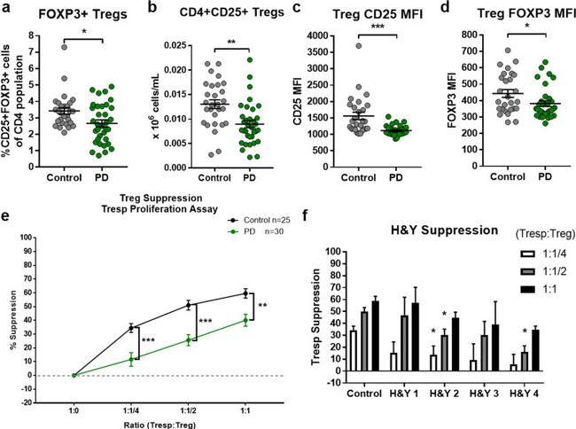 FOXP3 Antibody in Flow Cytometry (Flow)