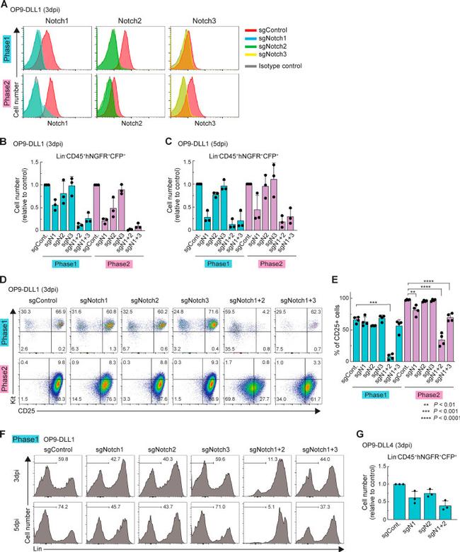 CD25 Antibody in Flow Cytometry (Flow)