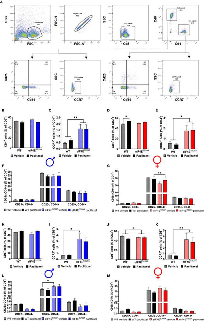 CD25 Antibody in Flow Cytometry (Flow)