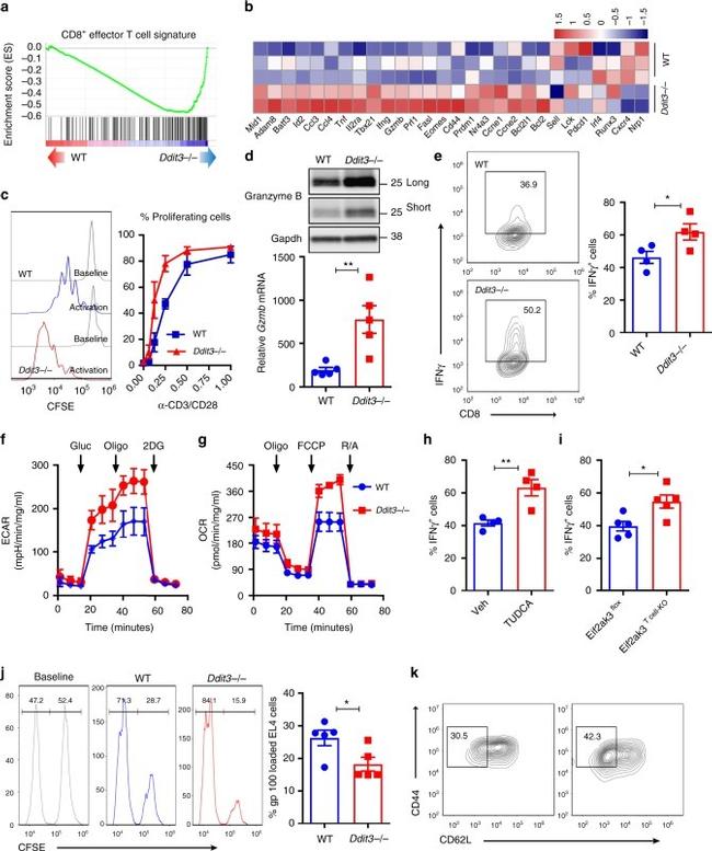 CD44 Antibody in Flow Cytometry (Flow)