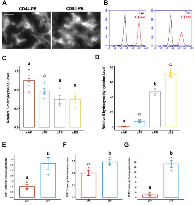 CD44 Antibody in Flow Cytometry (Flow)