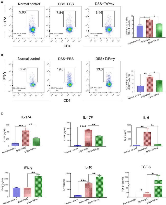 IFN gamma Antibody in Flow Cytometry (Flow)