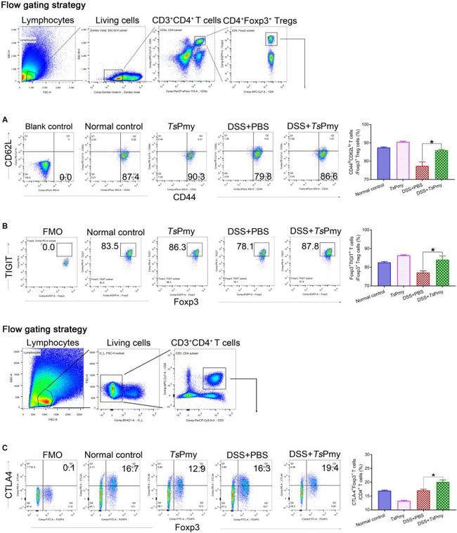 CD44 Antibody in Flow Cytometry (Flow)