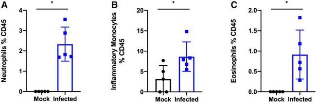 CD45 Antibody in Flow Cytometry (Flow)