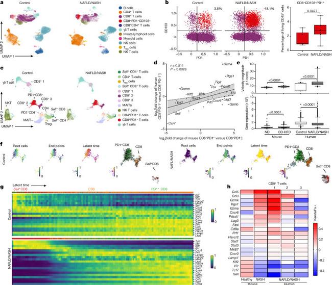 CD45 Antibody in Flow Cytometry (Flow)