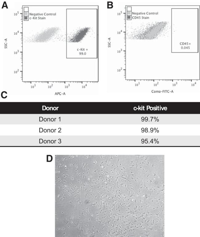 CD117 (c-Kit) Antibody in Flow Cytometry (Flow)