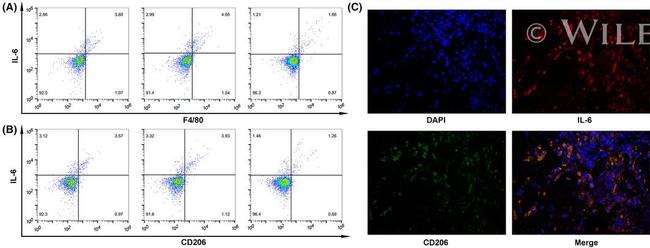 F4/80 Antibody in Flow Cytometry (Flow)