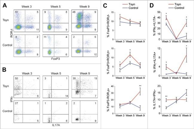 IFN gamma Antibody in Flow Cytometry (Flow)