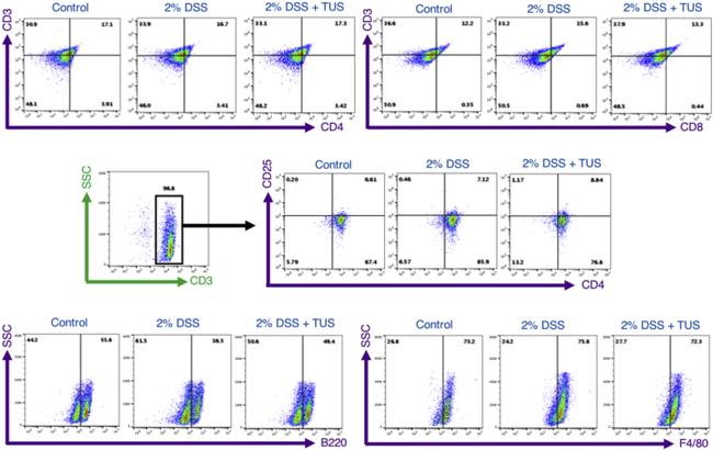 F4/80 Antibody in Flow Cytometry (Flow)