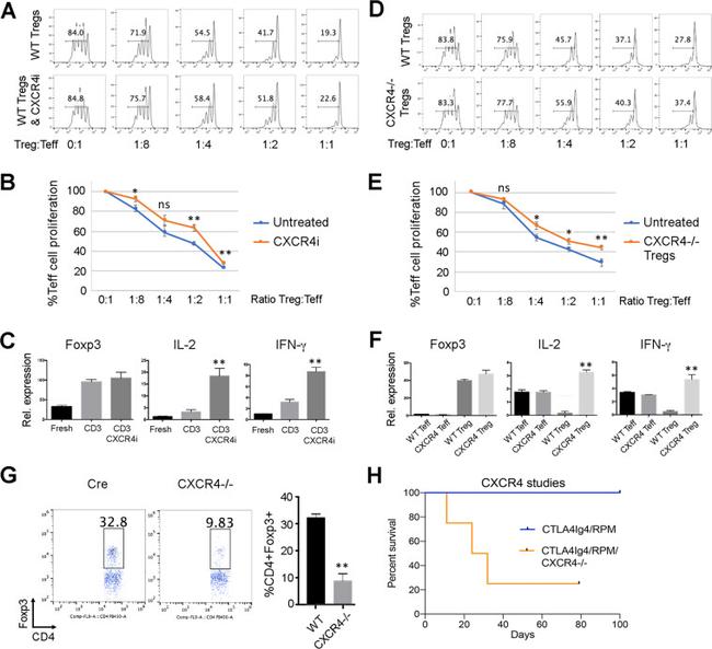 FOXP3 Antibody in Flow Cytometry (Flow)