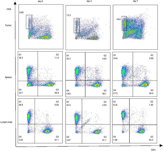 CD3e Antibody in Flow Cytometry (Flow)