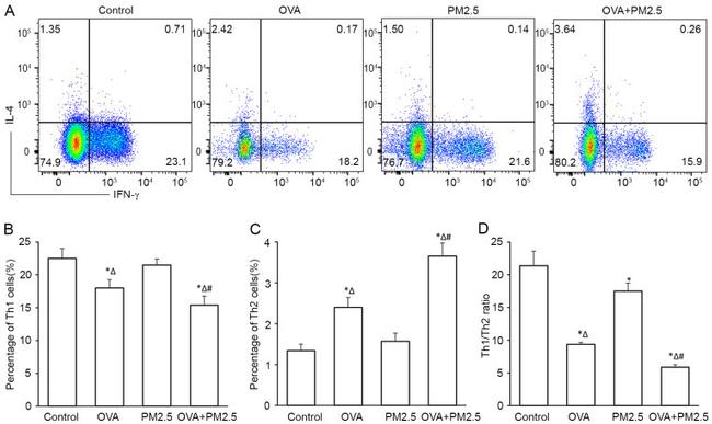 IFN gamma Antibody in Flow Cytometry (Flow)