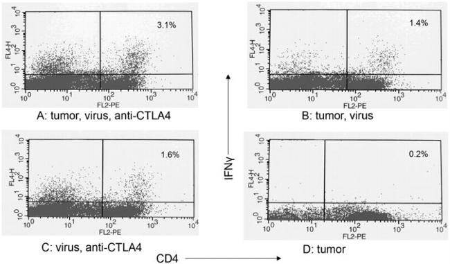 IFN gamma Antibody in Flow Cytometry (Flow)