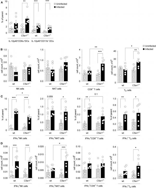 IFN gamma Antibody in Flow Cytometry (Flow)