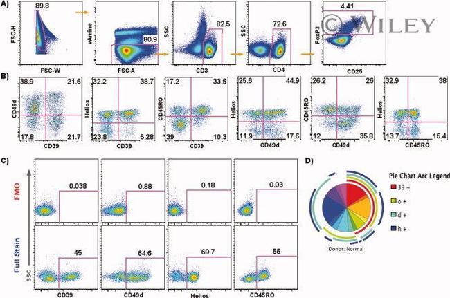 FOXP3 Antibody in Flow Cytometry (Flow)