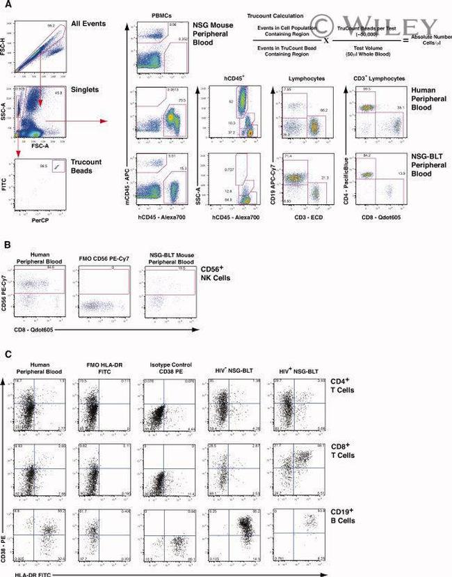 CD45 Antibody in Flow Cytometry (Flow)