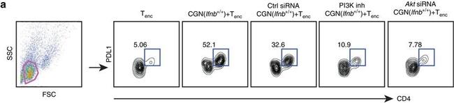 Rat IgG2a kappa Isotype Control in Flow Cytometry (Flow)