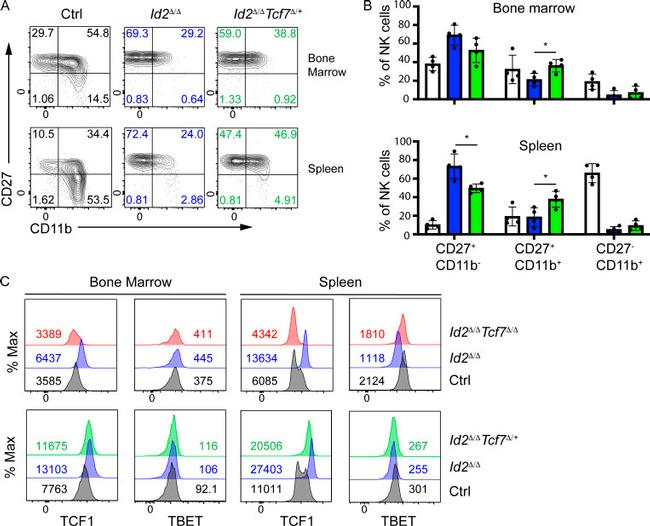 CD3e Antibody in Flow Cytometry (Flow)