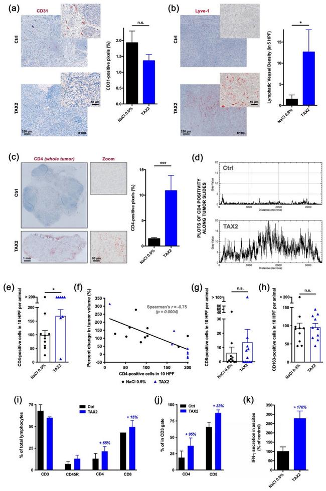 CD3e Antibody in Flow Cytometry (Flow)