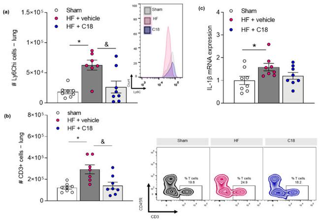 CD3 Antibody in Flow Cytometry (Flow)