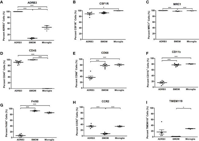 CD11b Antibody in Flow Cytometry (Flow)