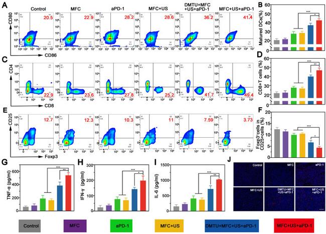 CD25 Antibody in Flow Cytometry (Flow)