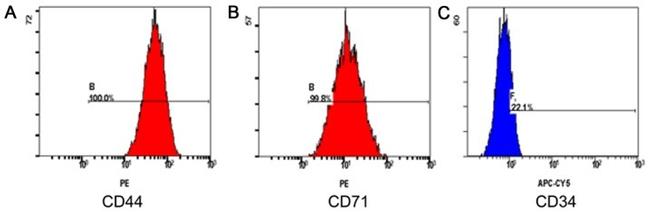 CD44 Antibody in Flow Cytometry (Flow)