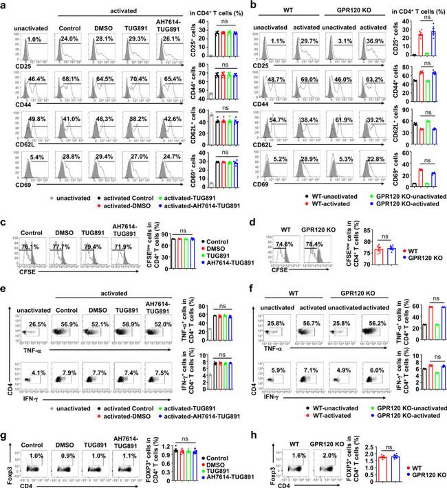 CD44 Antibody in Flow Cytometry (Flow)