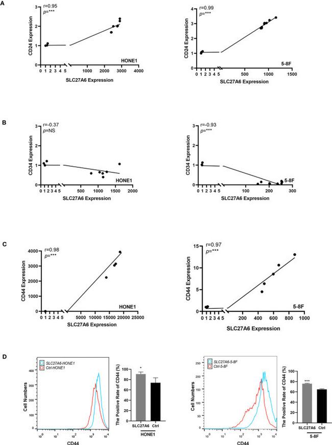 CD44 Antibody in Flow Cytometry (Flow)