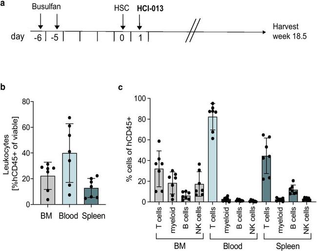 CD45 Antibody in Flow Cytometry (Flow)