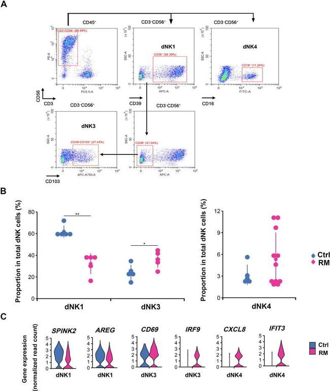 CD45 Antibody in Flow Cytometry (Flow)