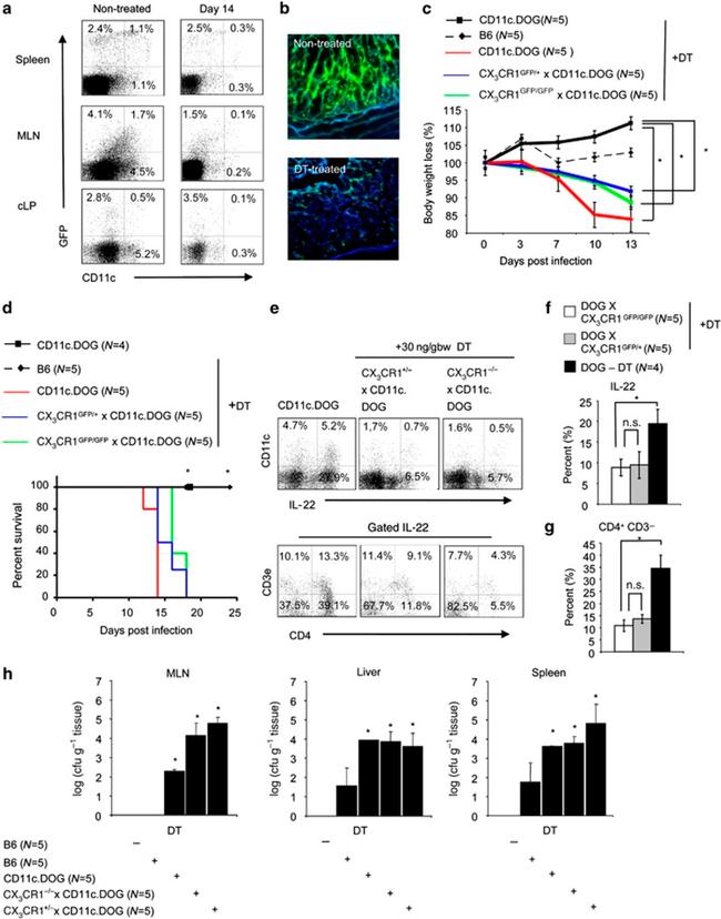 CD25 Antibody in Flow Cytometry (Flow)