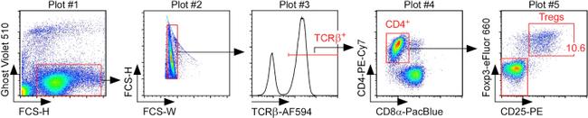 FOXP3 Antibody in Flow Cytometry (Flow)