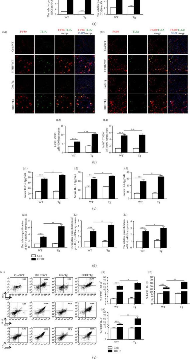 IL-6 Antibody in Flow Cytometry (Flow)