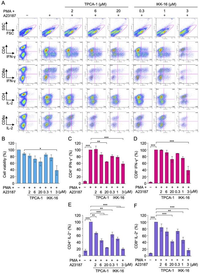 IFN gamma Antibody in Flow Cytometry (Flow)