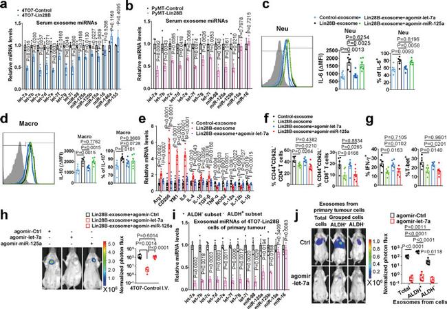 IL-6 Antibody in Flow Cytometry (Flow)