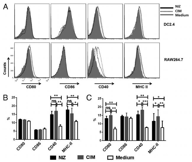 MHC Class II (I-A/I-E) Antibody in Flow Cytometry (Flow)