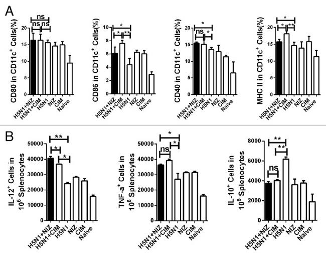 MHC Class II (I-A/I-E) Antibody in Flow Cytometry (Flow)