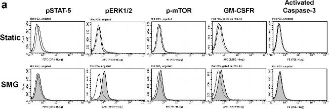 Rat IgG2a kappa Isotype Control in Flow Cytometry (Flow)