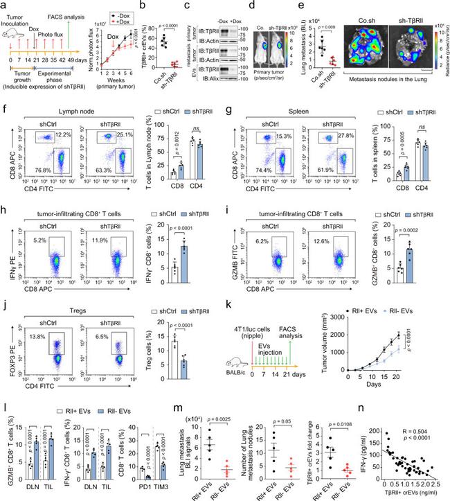 IFN gamma Antibody in Flow Cytometry (Flow)