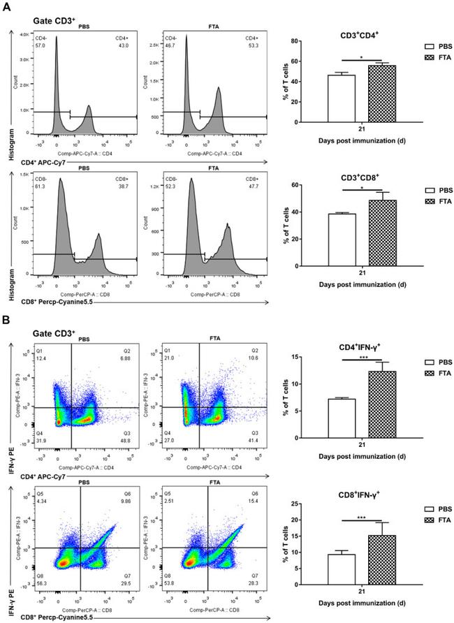 IFN gamma Antibody in Flow Cytometry (Flow)