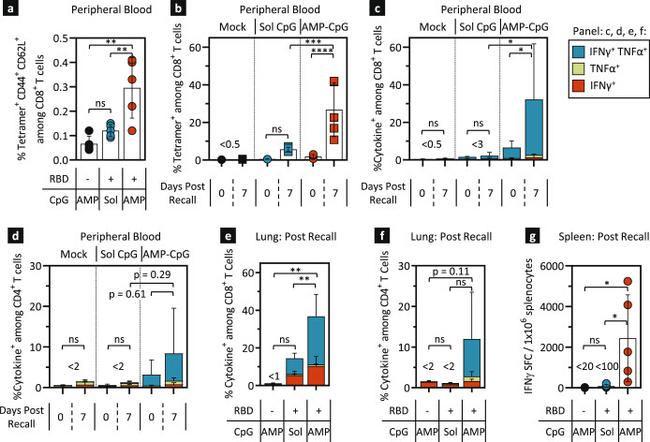 CD44 Antibody in Flow Cytometry (Flow)