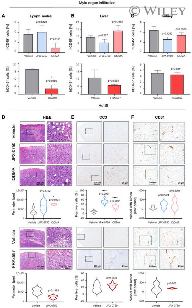 CD45 Antibody in Flow Cytometry (Flow)